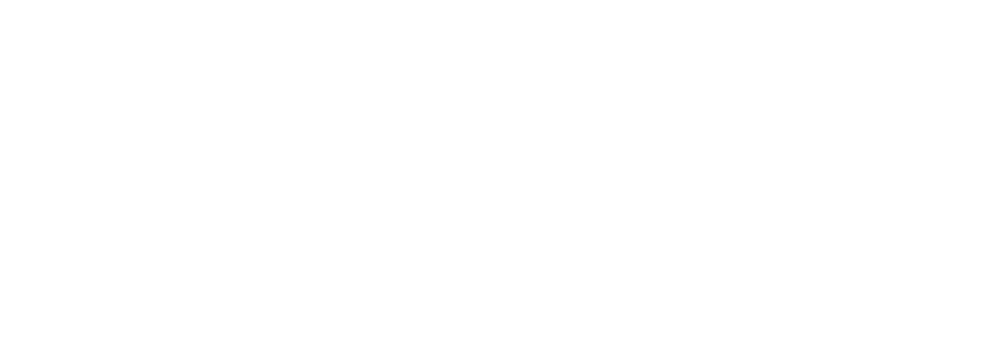 Business Cosulting logo